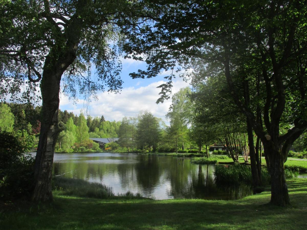 Villa Tannerhof Braunlage Ngoại thất bức ảnh