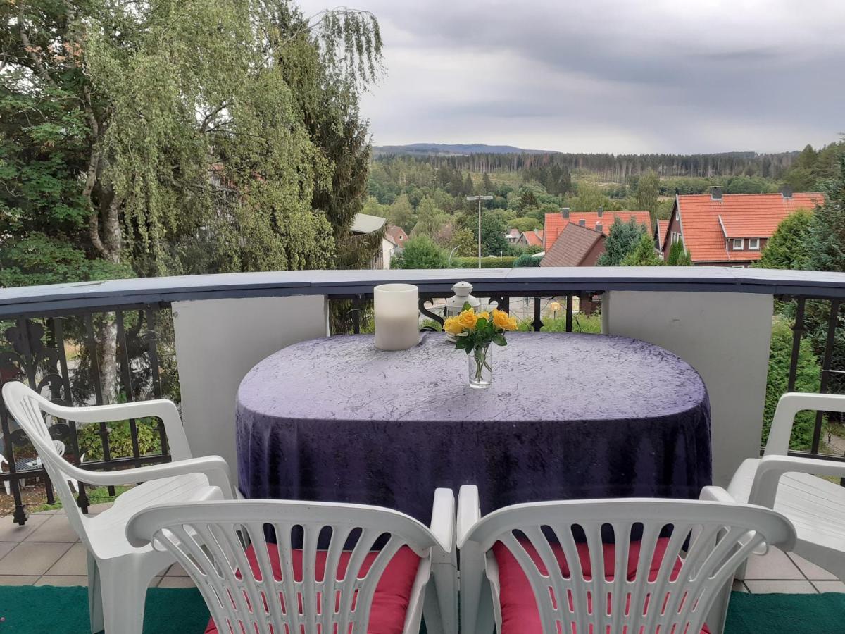 Villa Tannerhof Braunlage Ngoại thất bức ảnh