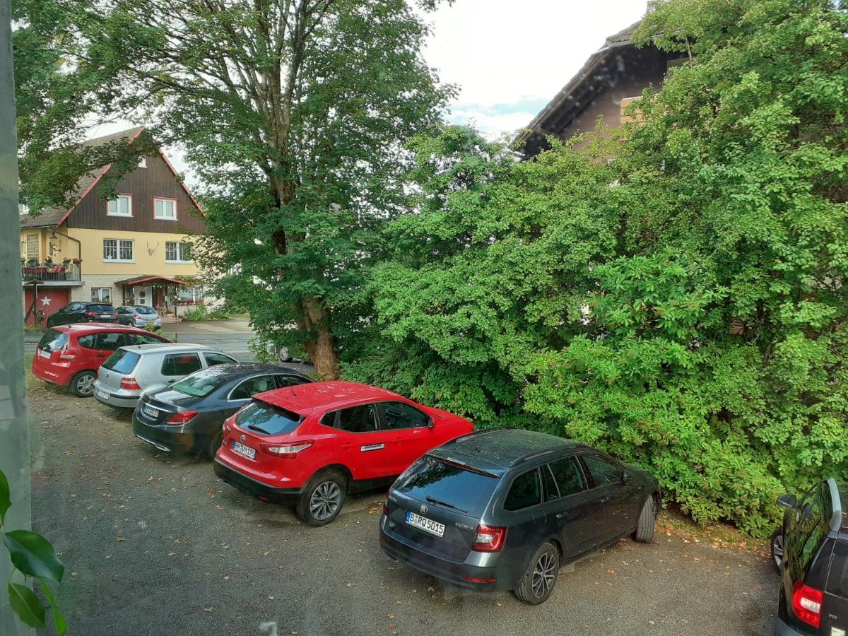 Villa Tannerhof Braunlage Ngoại thất bức ảnh